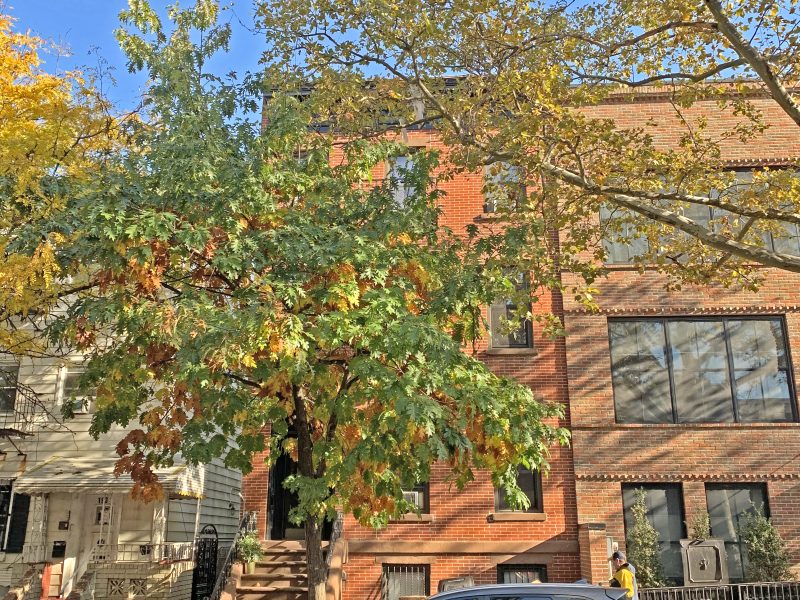 Non Performing Loan Sale in Greenwood Heights